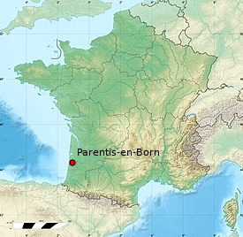 parentis