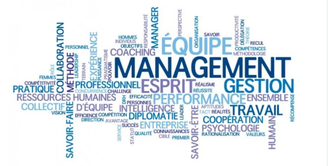 Management équipe